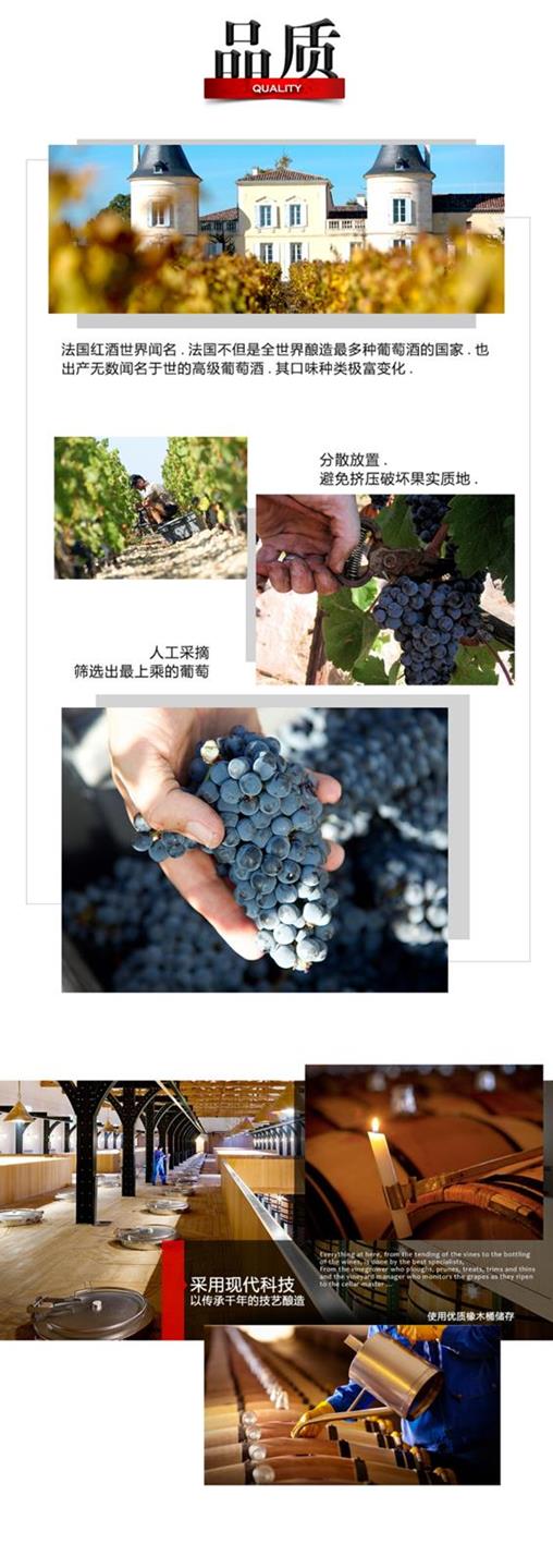 詳情_歌海娜_B_3