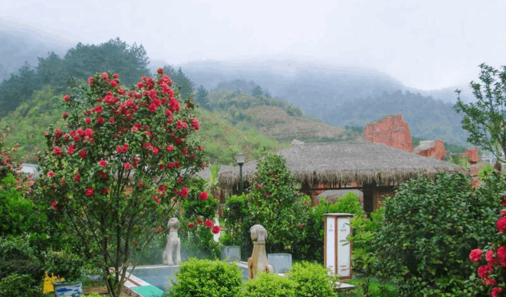 QQ圖片20170517145023