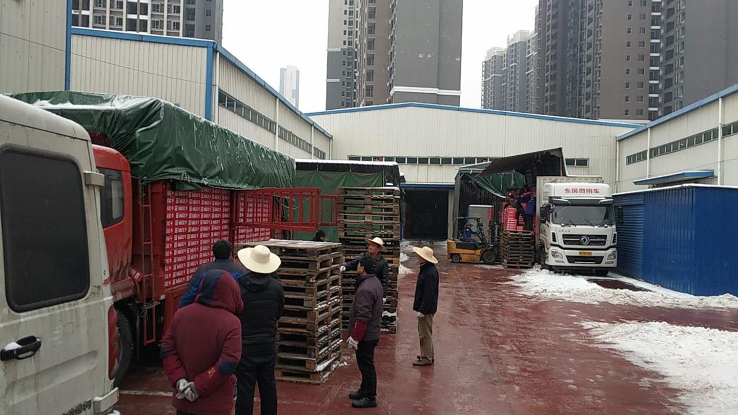 6E416903A0217ADEA8C51FABB1586F97