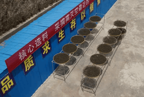 3F1D99BB6882C6EC41E1C40665ECCA2C