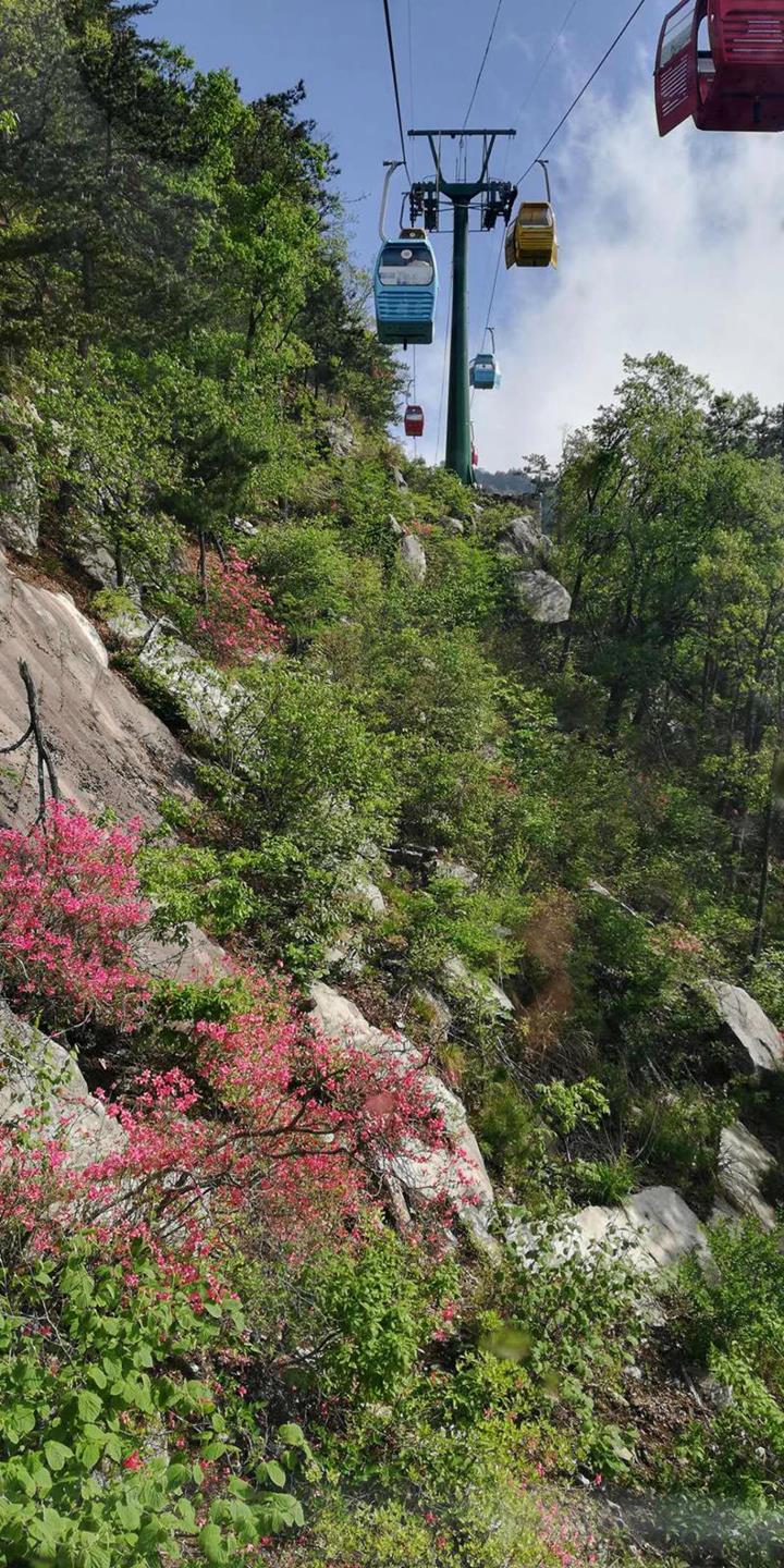 612317082663CFEAD2095BEF7ADF1061_meitu_10