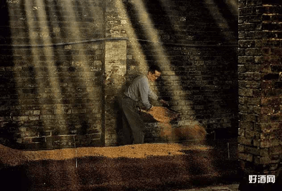 QQ圖片20181212142216