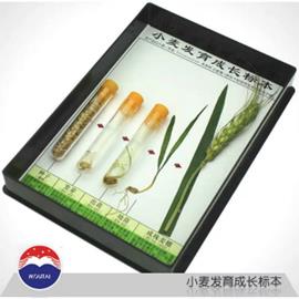 QQ圖片20191104153839_meitu_7