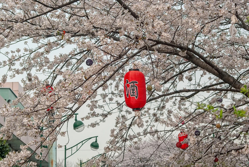 webwxgetmsgimg (13)_副本