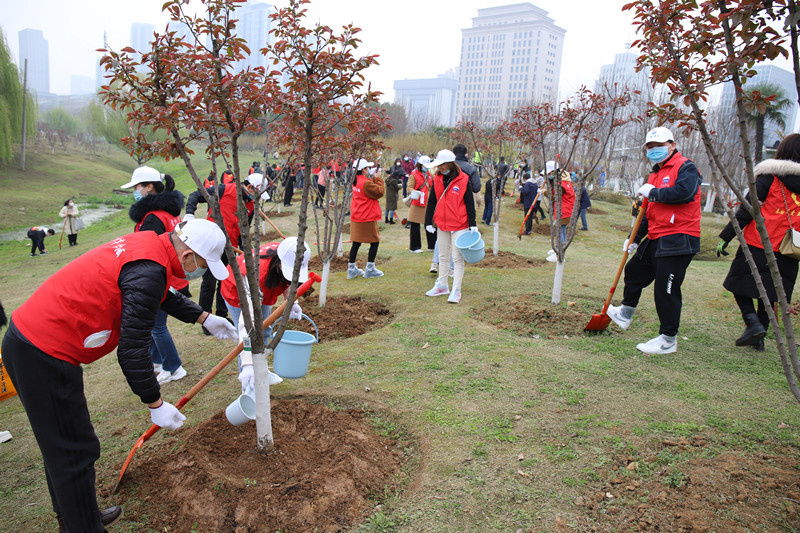 webwxgetmsgimg (16)_副本