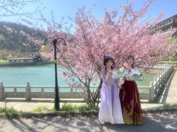 微信圖片_20250326160048_副本