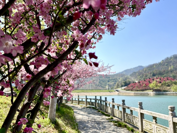 微信圖片_20250326144734_副本